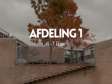 Afd 1